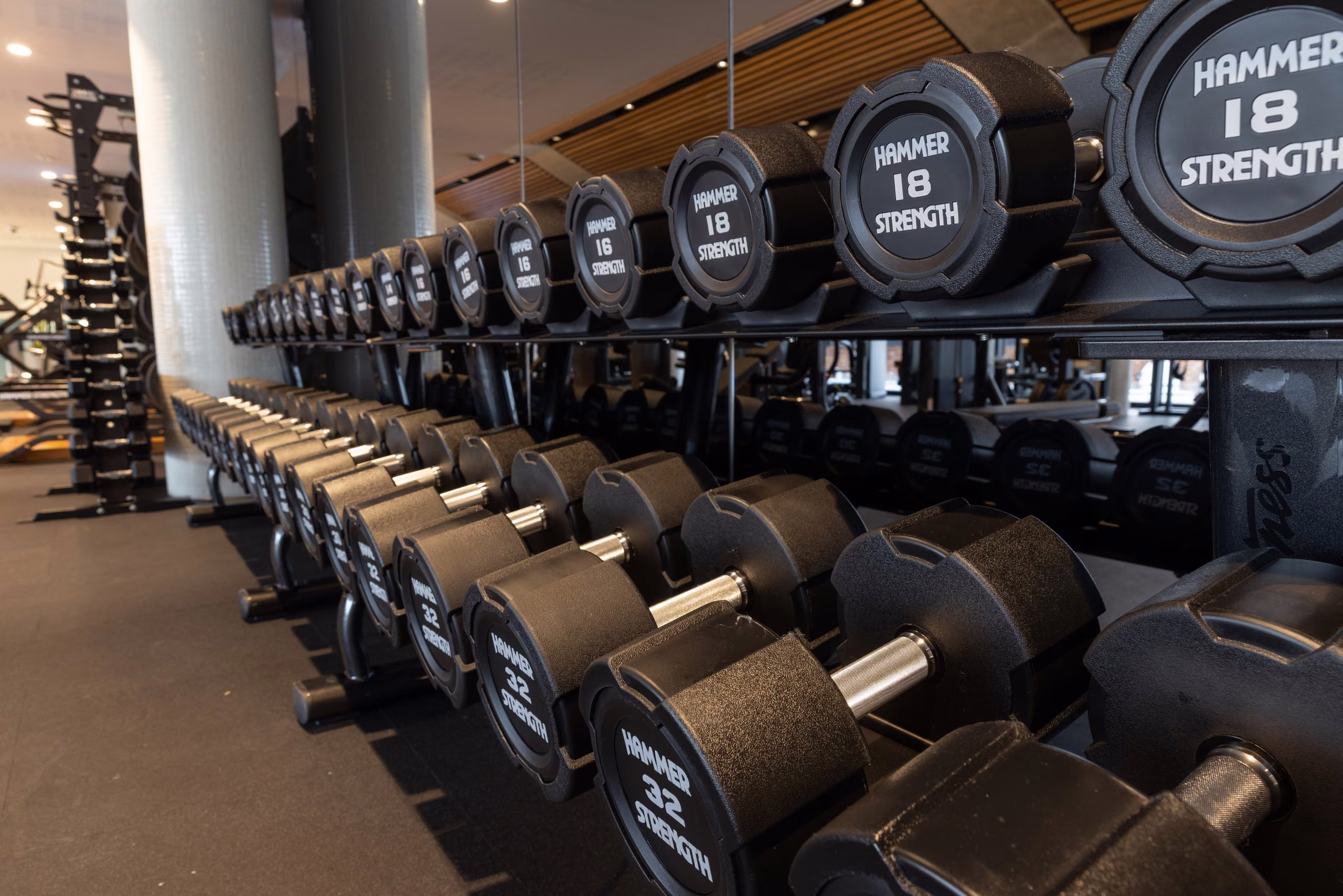 Rows of dumbbells on the Hammer Strength racks in the free-weights zone